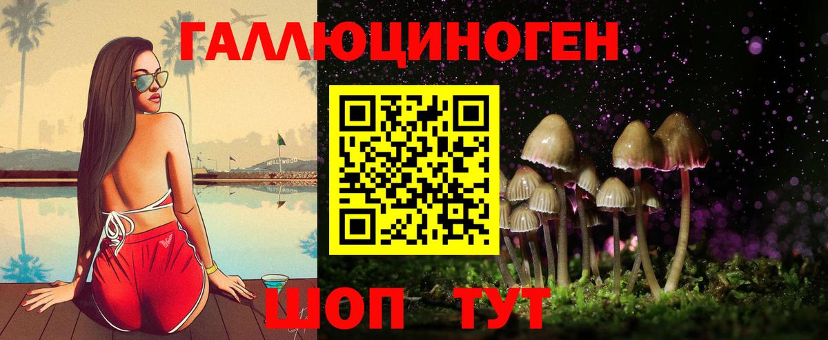 Котовск  Псилоцибиновые грибы мицелий  Вход с VPN  Галлюциногенные грибы мицелий 