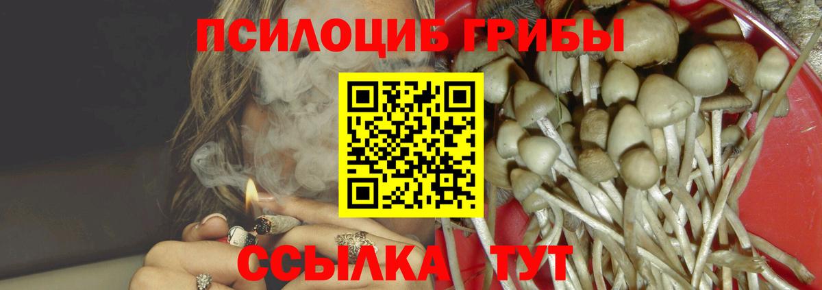 Галлюциногенные грибы Psilocybine cubensis Котовск