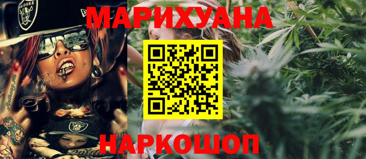 Конопля гибрид Котовск