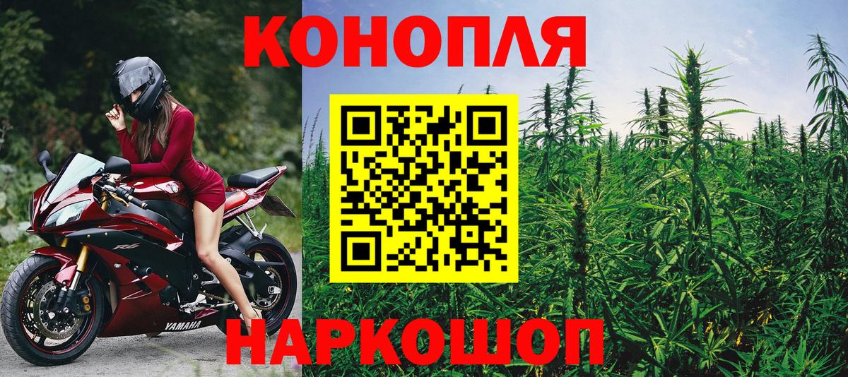 Котовск  Каннабис Amnesia  Канабис Amnesia  Вход с VPN 